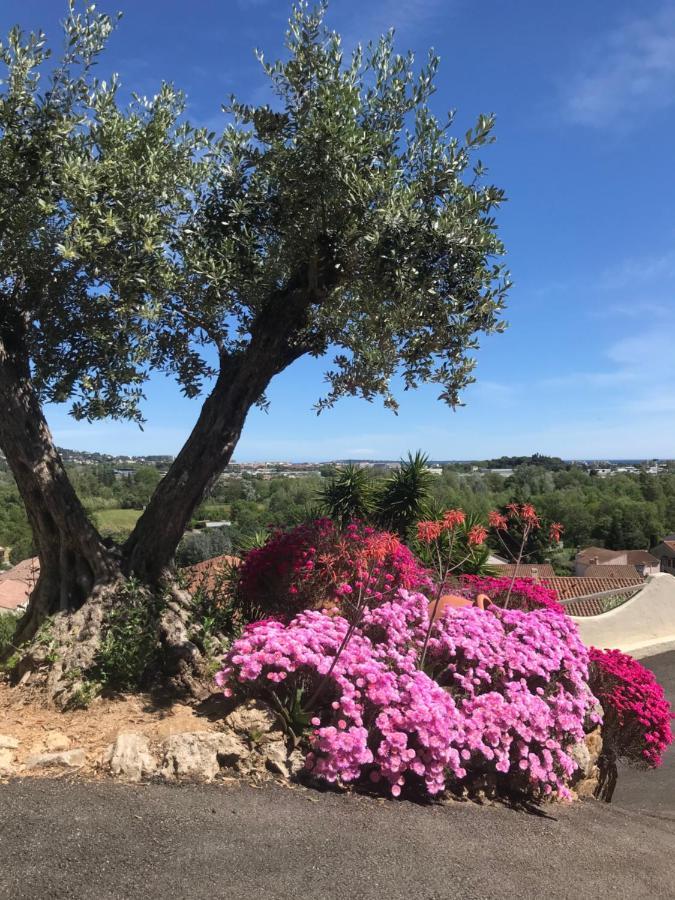 3 Bedrooms Villa Near Cannes - Pool & Jacuzzi - Sea View Mandelieu Exterior foto